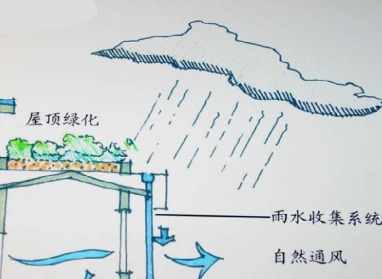 目前雨水收集还是比较方便的，自己在家中都可以设计一个简单的收集装置，自己动手还是比较有意义的，